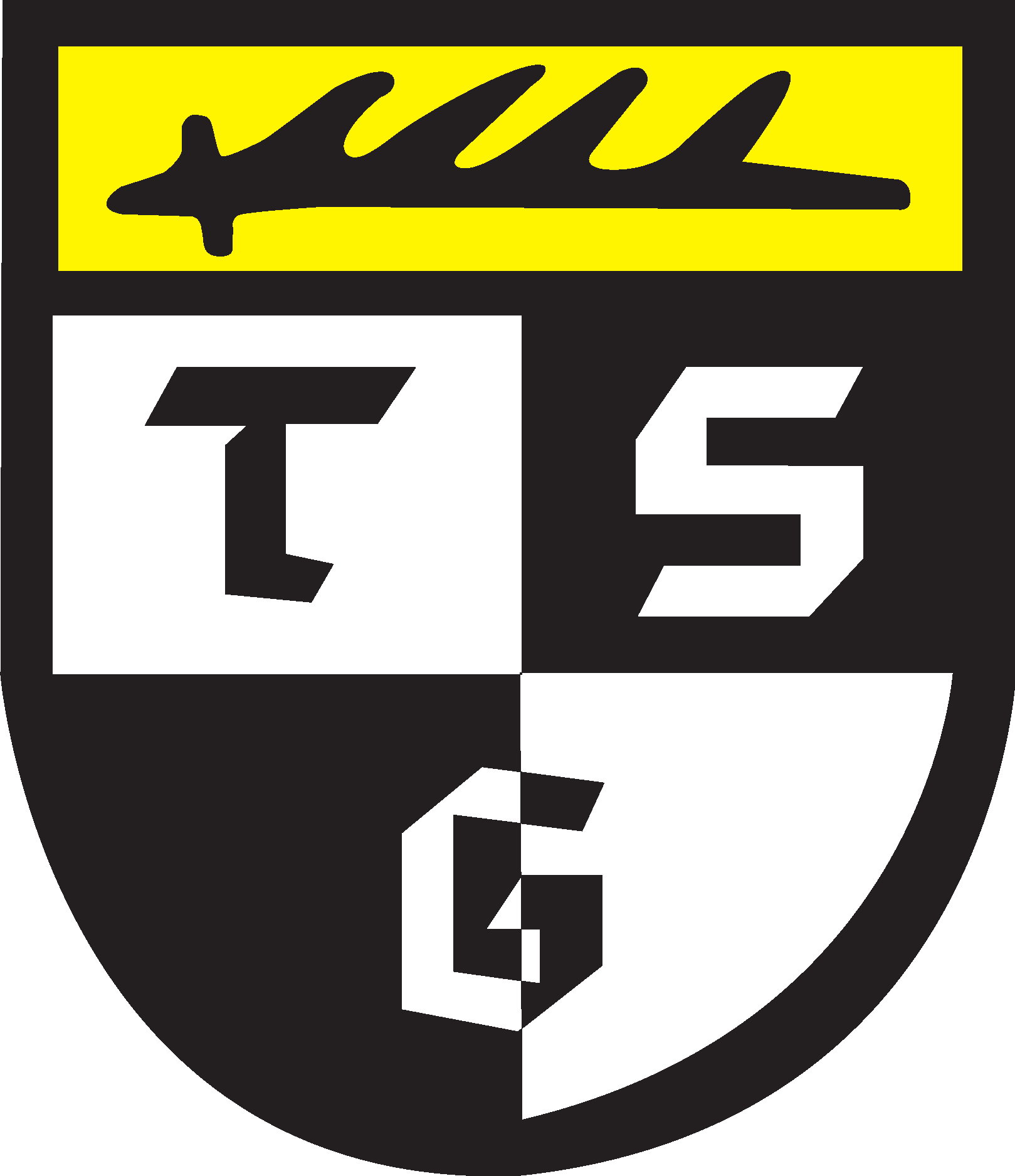 TSG Balingen Logo Vector Logo